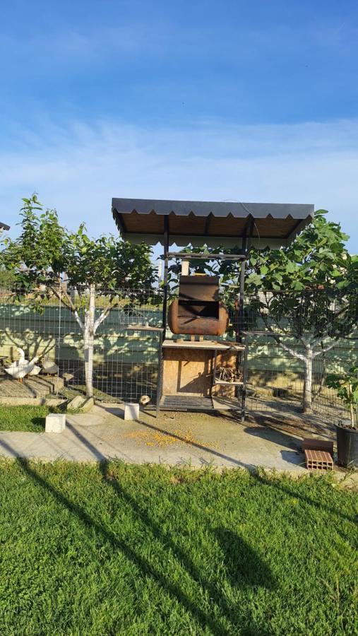 Room With Private Garden Шкодер Екстер'єр фото