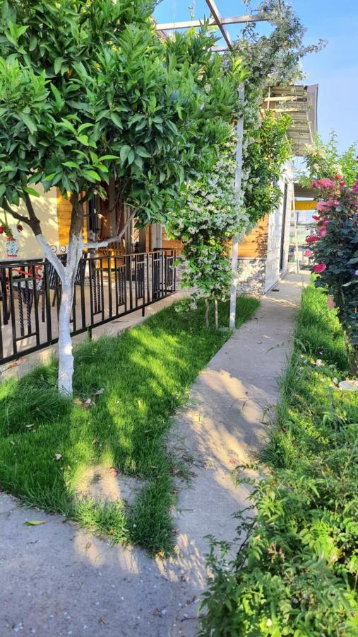 Room With Private Garden Шкодер Екстер'єр фото